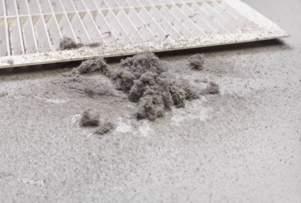 Best Professional Duct Cleaning Services  in Mint Hill, NC