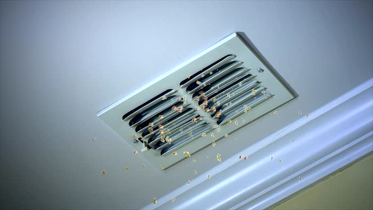Best HVAC Duct Inspection Services  in Mint Hill, NC